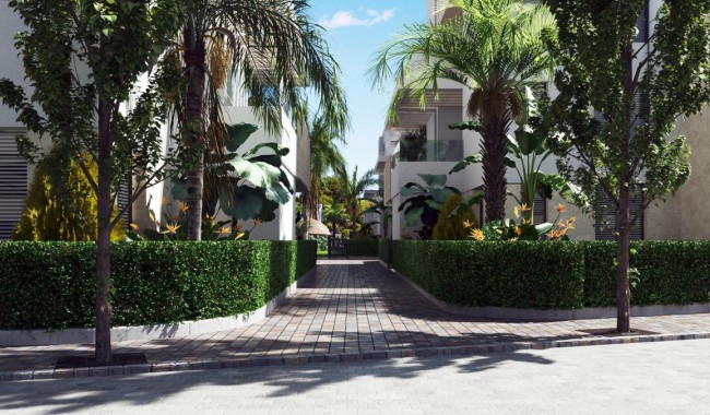 New Build - Apartment - Torre Pacheco - Torre-Pacheco Centro