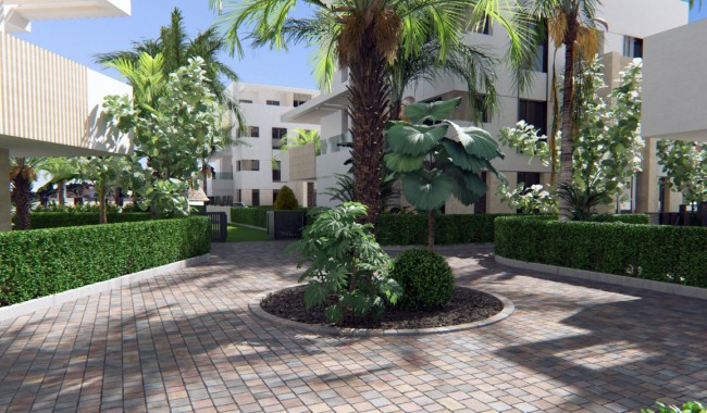 New Build - Apartment - Torre Pacheco - Torre-Pacheco Centro