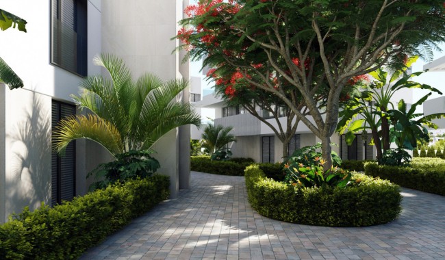 New Build - Apartment - Torre Pacheco - Torre-Pacheco Centro