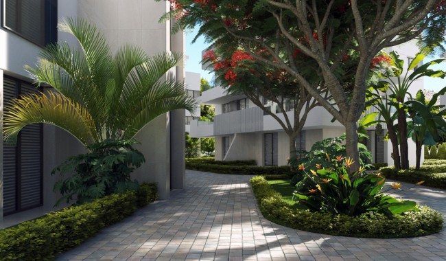 New Build - Apartment - Torre Pacheco - Torre-Pacheco Centro