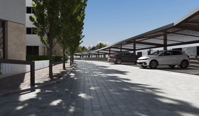 New Build - Apartment - Torre Pacheco - Torre-Pacheco Centro