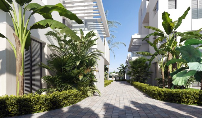 New Build - Apartment - Torre Pacheco - Torre-Pacheco Centro
