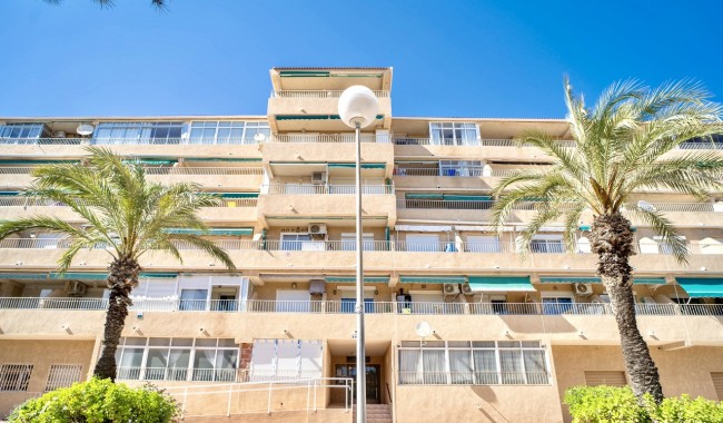 Apartment - Resale - Guardamar - Guardamar