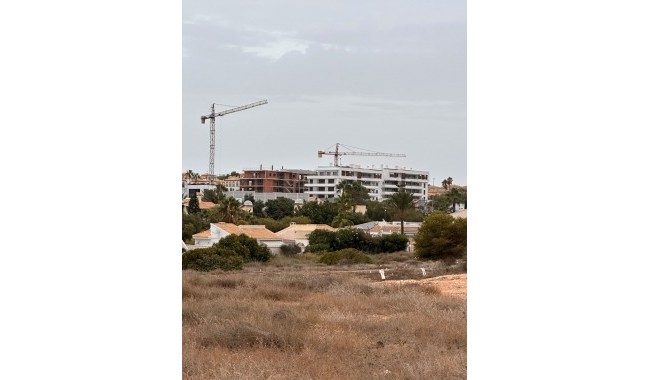 Nybyggnation - Lägenhet - Orihuela - Playa Flamenca
