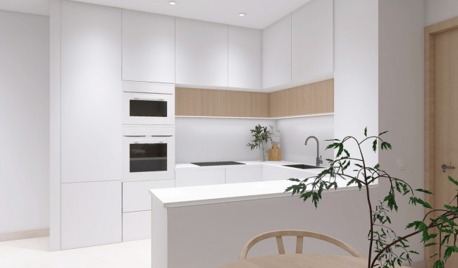Nueva construcción  - Apartamento - Guardamar - Urbanización El Raso