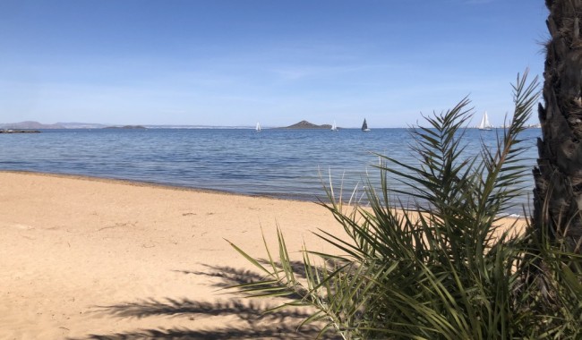 Resale - Apartment - Mar de Cristal