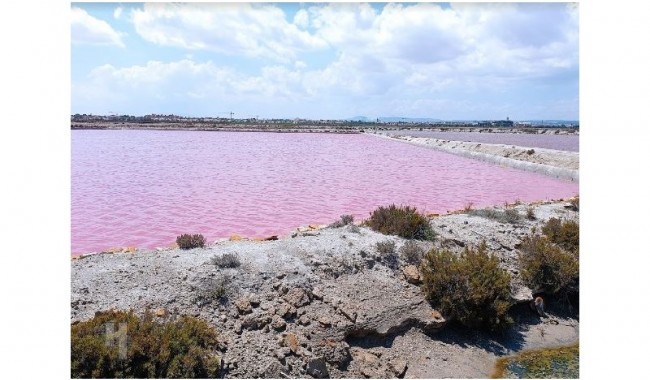 Begagnad - Lägenhet - San Pedro del Pinatar - Lo Pagan