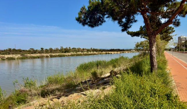 New Build - Apartment - Guardamar - Puerto