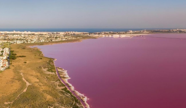 Brukt - Villa - Torrevieja