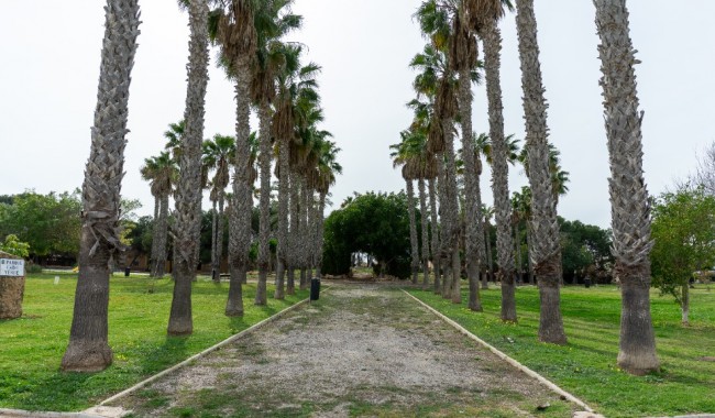 Resale - Villa - Torrevieja - Los Altos