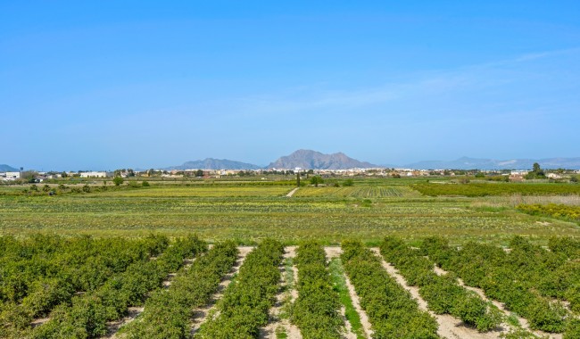 Sprzedaż - Apartament - Daya Nueva - Costa Blanca South