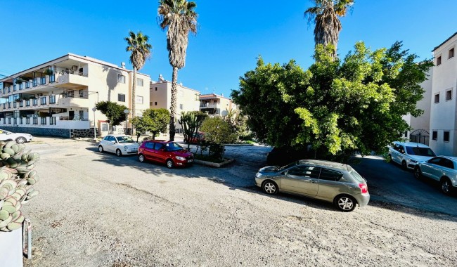 Segunda mano - Apartamento - Torrevieja - El Chaparral