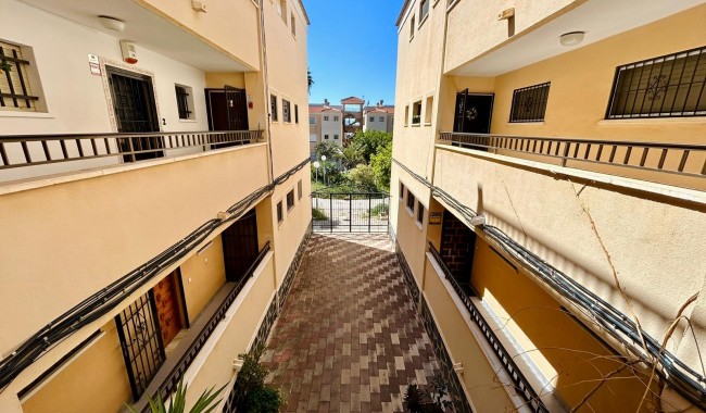 Segunda mano - Apartamento - Torrevieja - El Chaparral