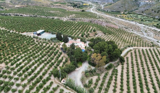 Begagnad - Finca - Murcia - Rincón de Seca