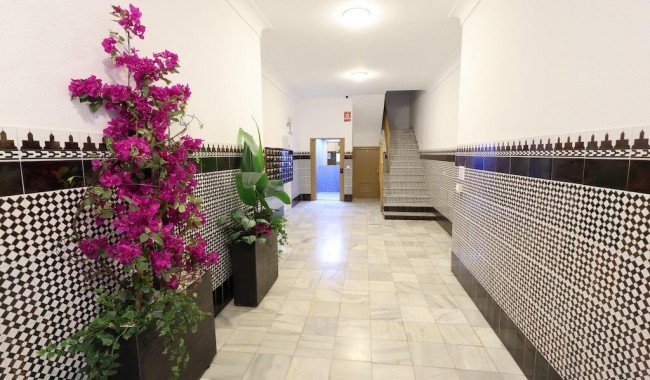 Brukt - Leilighet - Torrevieja - Centro