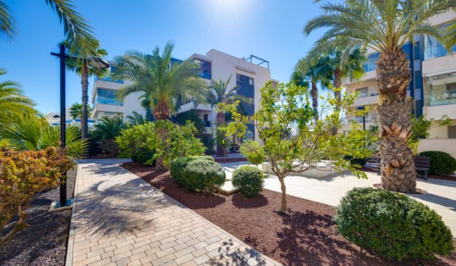 Segunda mano - Apartamento - Orihuela - Villamartín