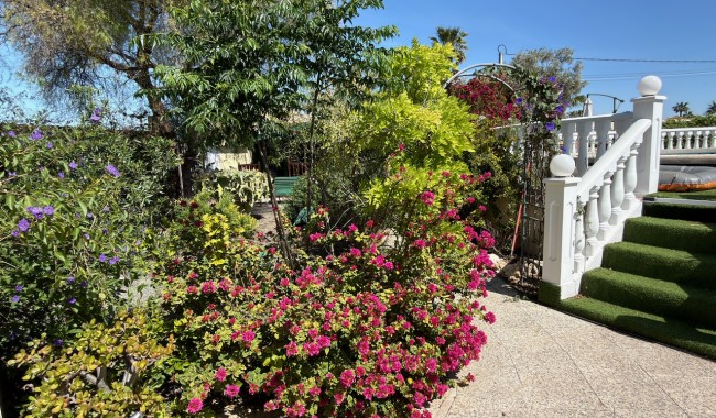 Begagnad - Finca - Catral