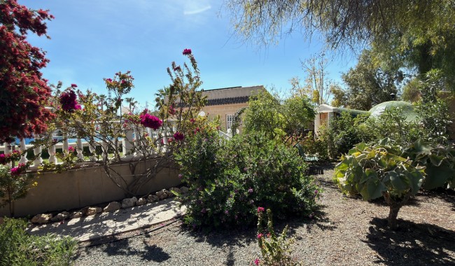 Begagnad - Finca - Catral