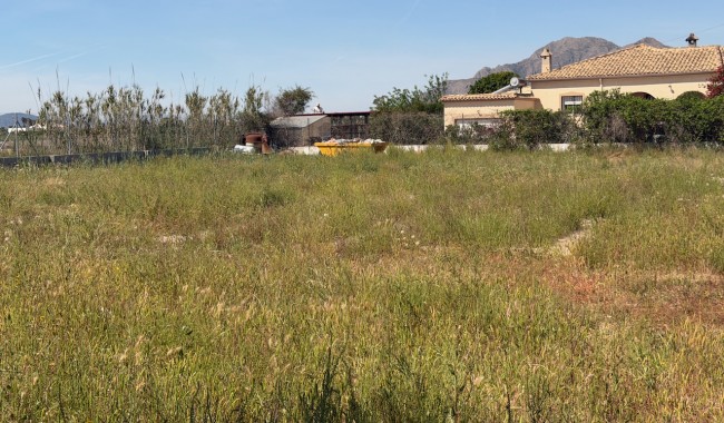 Begagnad - Finca - Catral