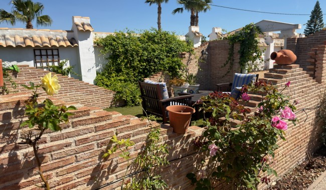 Begagnad - Finca - Catral
