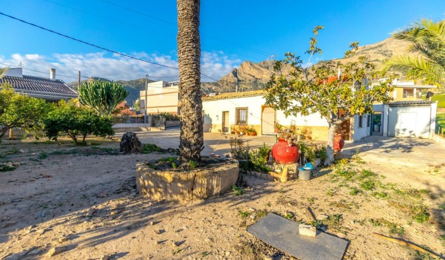Begagnad - Finca - Orihuela - Raiguero de Bonanza