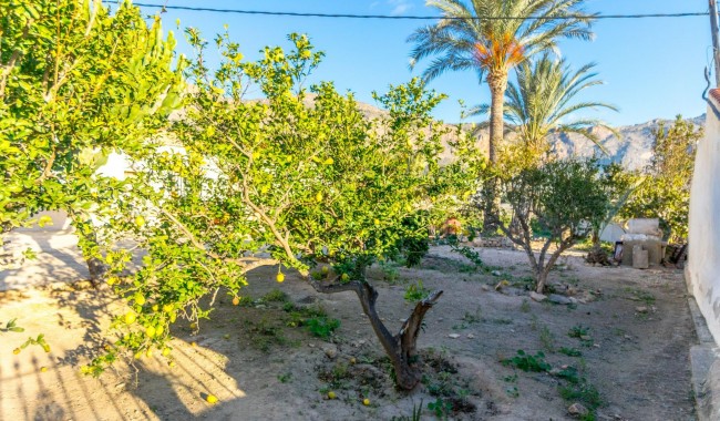 Begagnad - Finca - Orihuela - Raiguero de Bonanza
