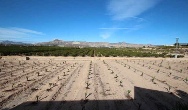 Brukt - Finca - Murcia - Costa Blanca Sur
