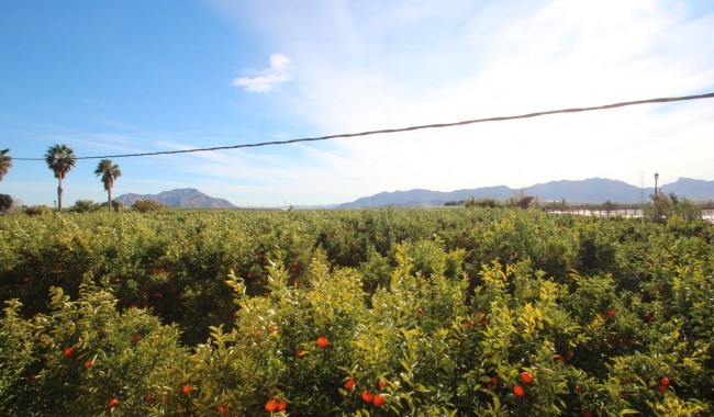 Brukt - Finca - Murcia - Costa Blanca Sur
