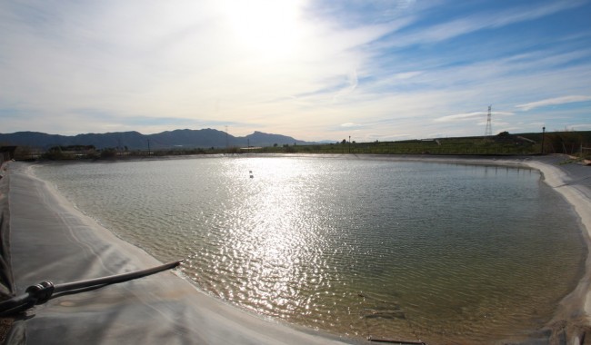 Brukt - Finca - Murcia - Costa Blanca Sur