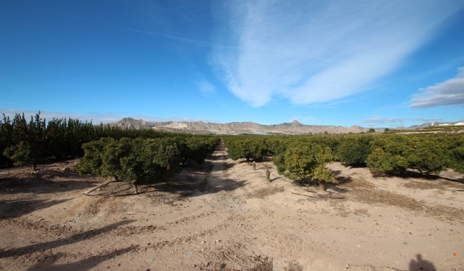 Brukt - Finca - Murcia - Costa Blanca Sur