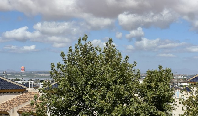 Sprzedaż - Lokal biznesowy - Torrevieja - Costa Blanca Sur