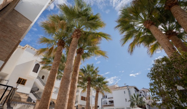 Sprzedaż - Apartament - Orihuela - Costa Blanca Sur