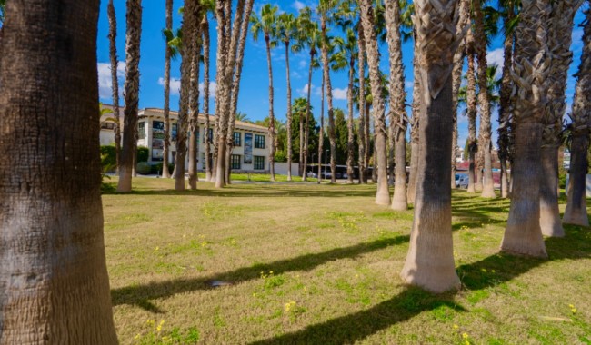 Sprzedaż - Apartament - Orihuela - Costa Blanca Sur