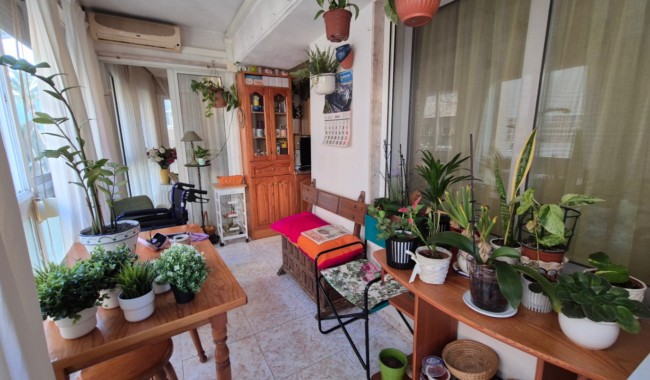 Sprzedaż - Apartament - Torrevieja - Costa Blanca Sur