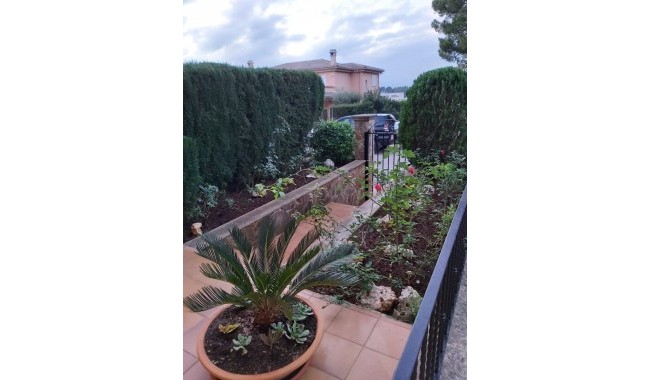 Resale - Villa - Marrachí - Mallorca