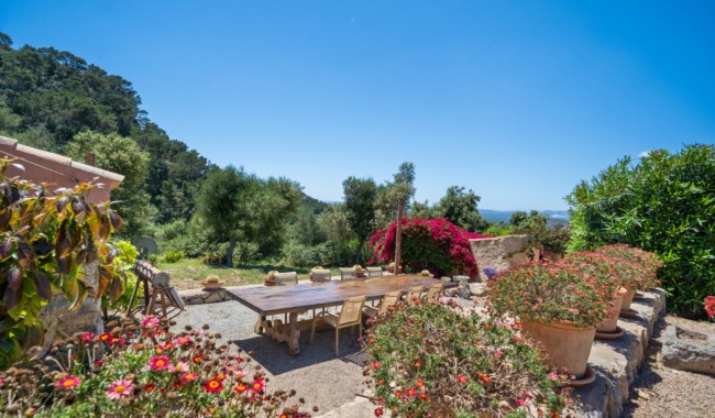 Resale - Finca - Felanitx - Mallorca