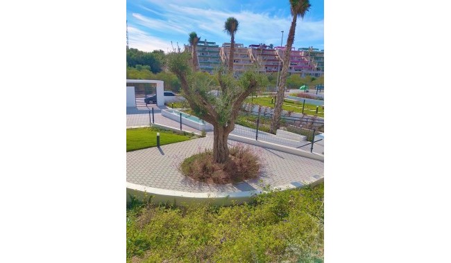 Brukt - Leilighet - Orihuela - Costa Blanca Sur