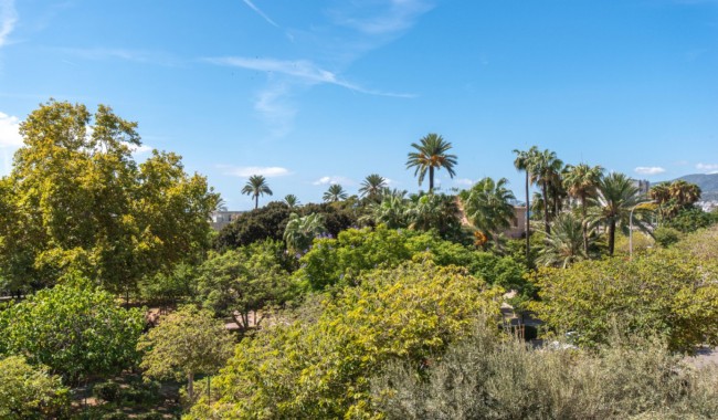 Begagnad - Lägenhet - Palma de Mallorca - Mallorca