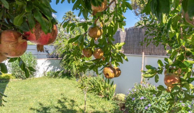 Sprzedaż - Willa - Marrachí - Mallorca