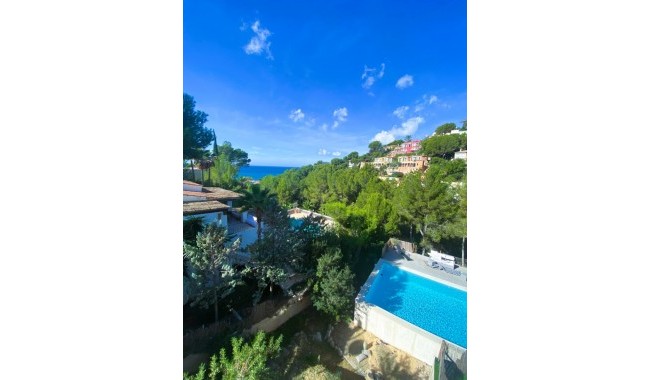 Begagnad - Villa - Calviá - Mallorca