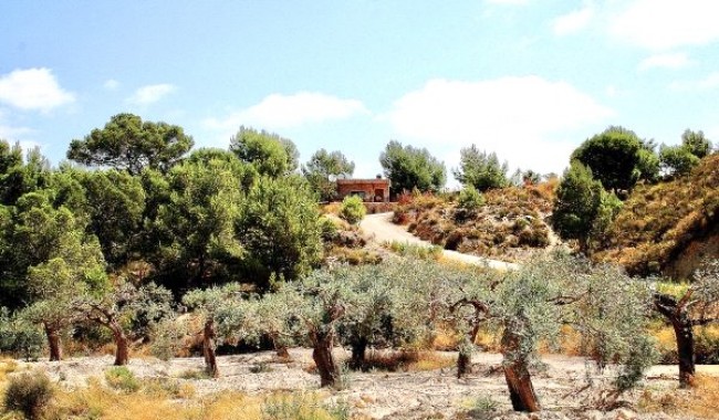 Segunda mano - Villa - Murcia - Costa Blanca Sur