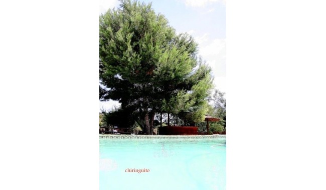 Segunda mano - Villa - Murcia - Costa Blanca Sur