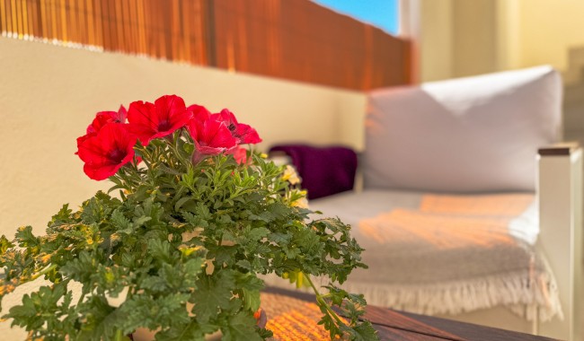 Resale - Bungalow - Torrevieja - Los Altos
