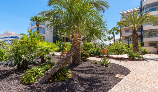 Sprzedaż - Apartament - Orihuela costa - Los Dolses