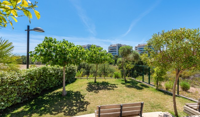 Sprzedaż - Apartament - Orihuela costa - Los Dolses