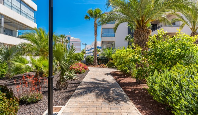 Sprzedaż - Apartament - Orihuela costa - Los Dolses