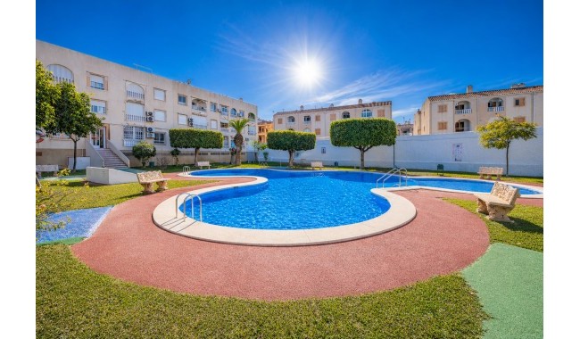 Apartment - Resale - Torrevieja - Playa de La Acequion