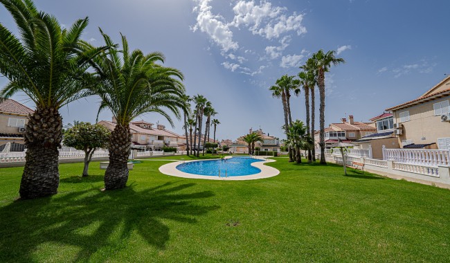 Sprzedaż - Apartament - Playa Flamenca - Zenia Mar