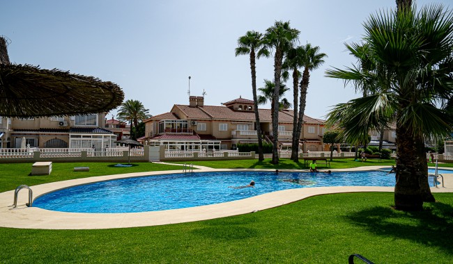 Sprzedaż - Apartament - Playa Flamenca - Zenia Mar