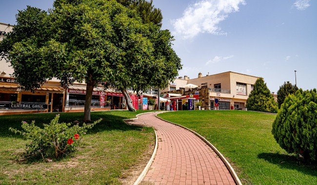 Sprzedaż - Apartament - Playa Flamenca - Zenia Mar